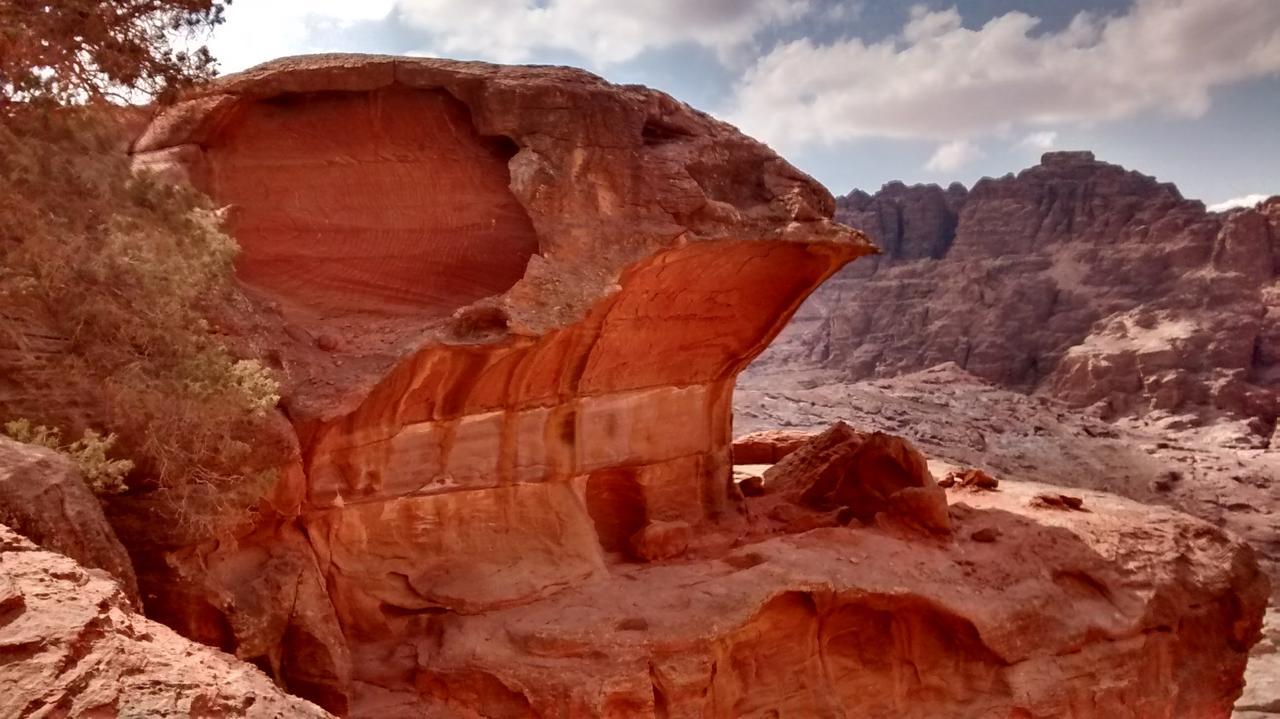 Petra Bedouin Bed And Breakfast Vádi Músza Kültér fotó